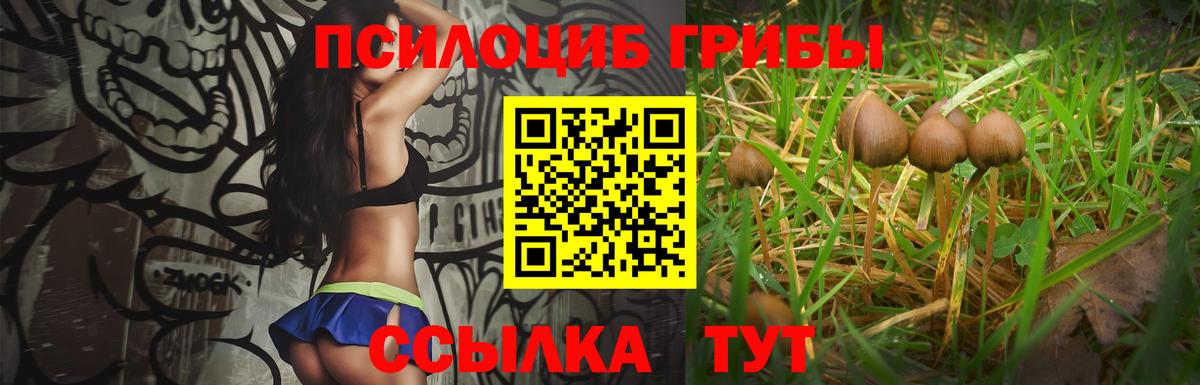 Кострома  Галлюциногенные грибы Magic Shrooms  Вход с VPN  Галлюциногенные грибы MAGIC MUSHROOMS 