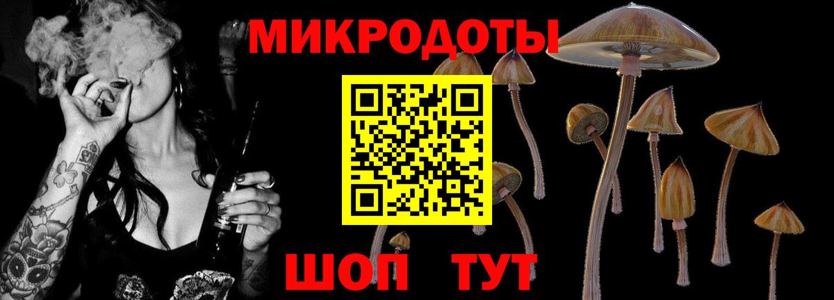 Псилоцибиновые грибы GOLDEN TEACHER Кострома